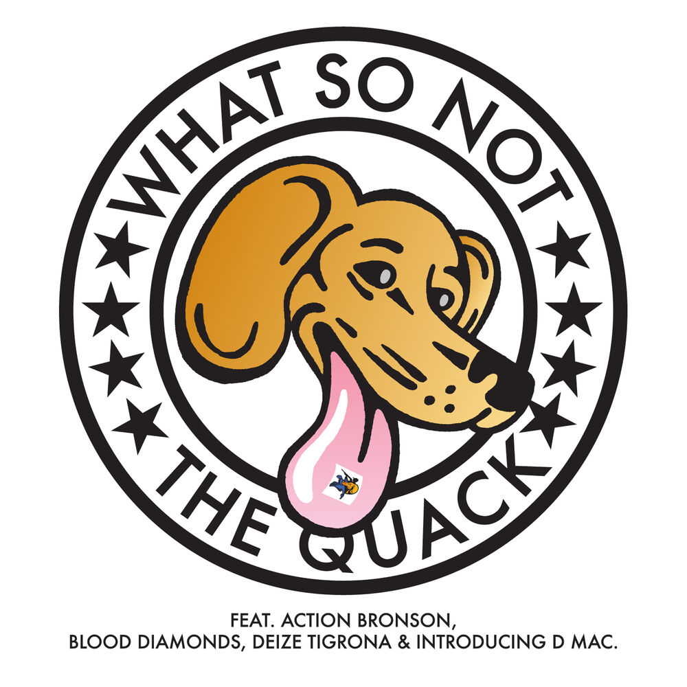 Picture of The Quack
