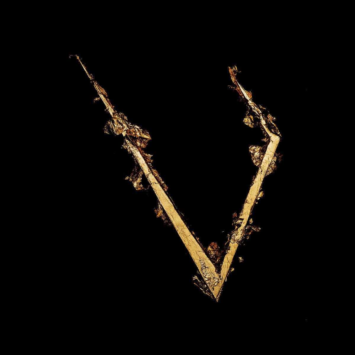 Album cover of Twin Shadow