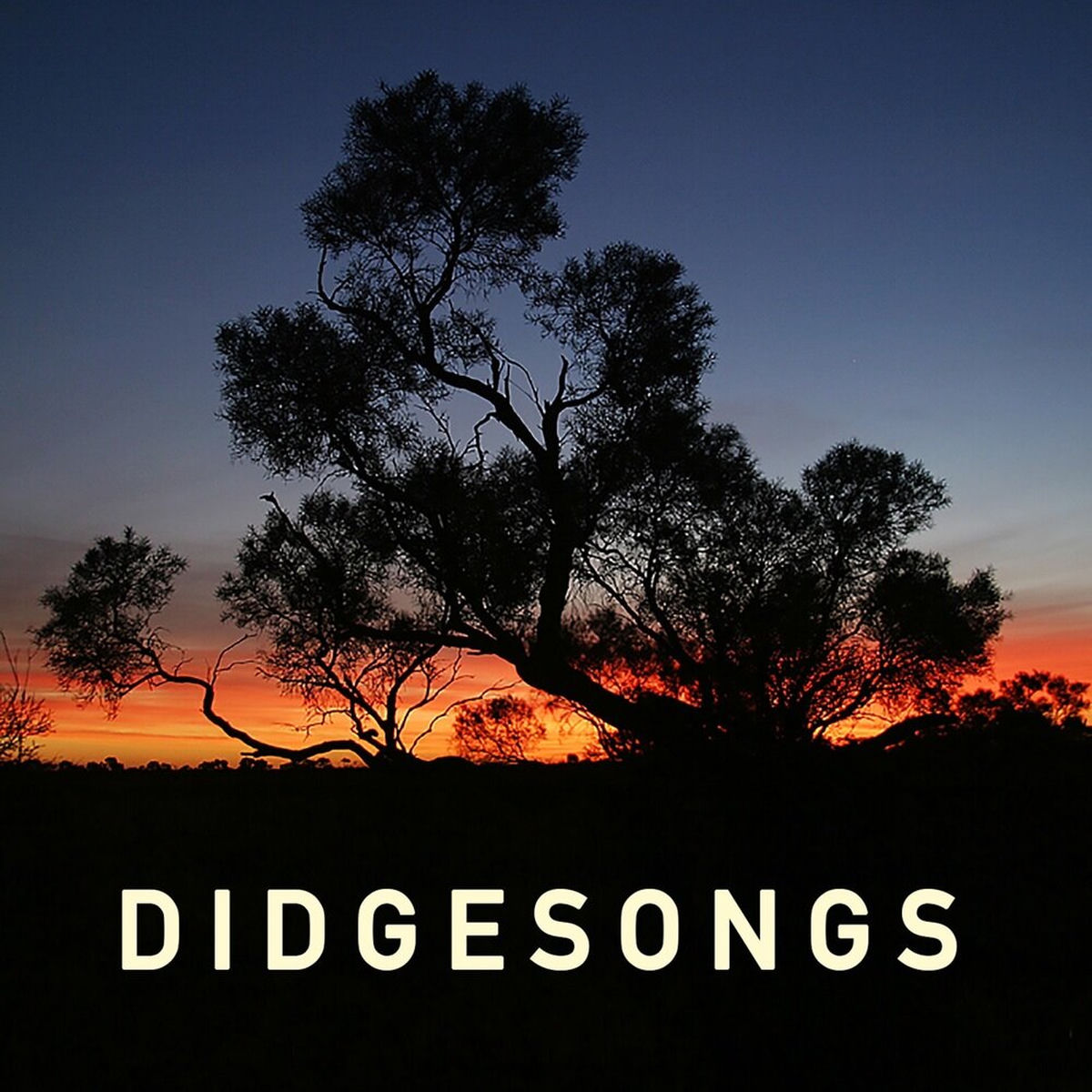 Album cover of Didge Songs