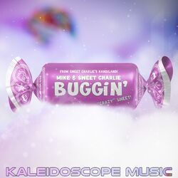 Cover of Buggin'