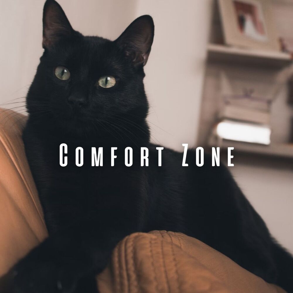 Picture of Comfort Zone: Pets' Binaural Retreat