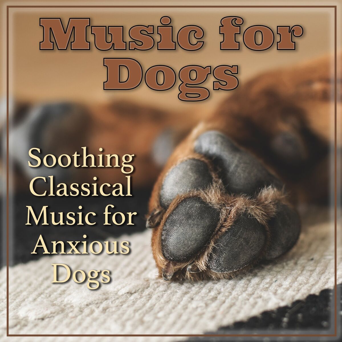 Album cover of Music for Dogs: Soothing Classical Music for Anxious Dogs