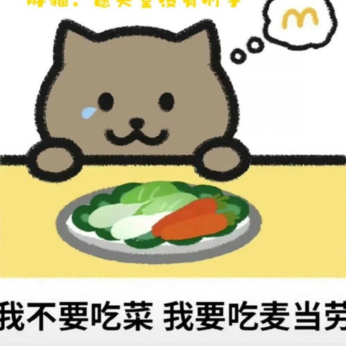梦中情猫780