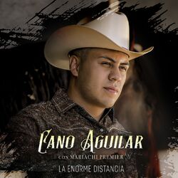 Cover of La Enorme Distancia