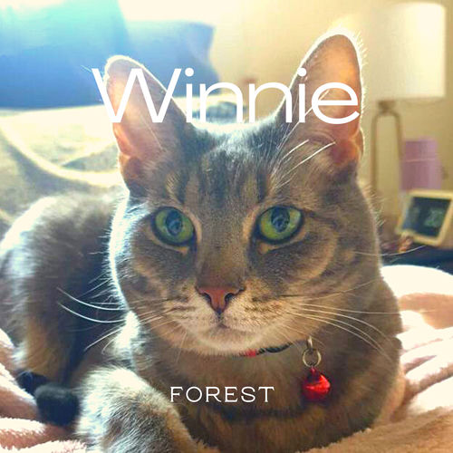 Winnie