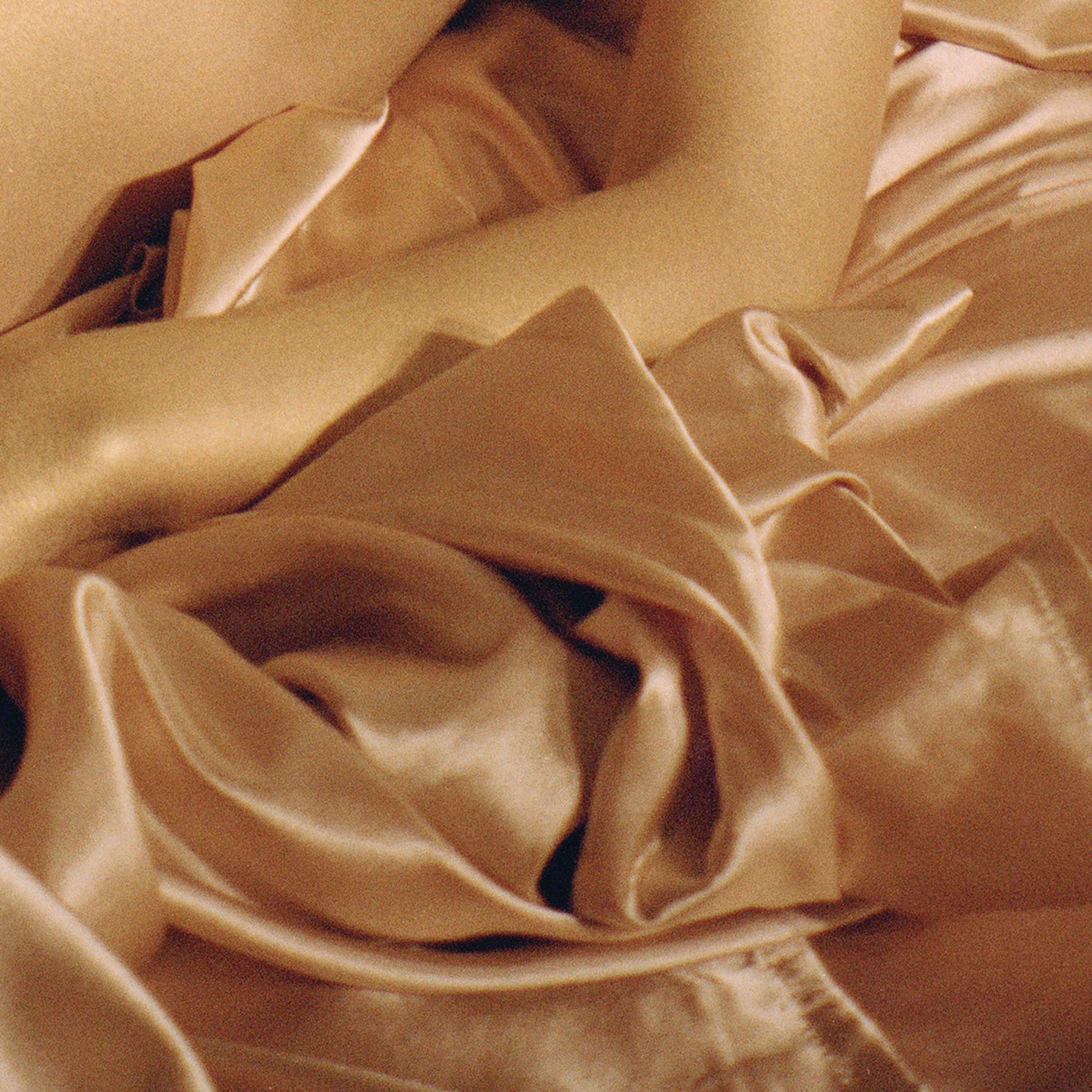 Album cover of Cold Shower