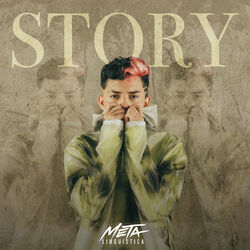 Cover of Story