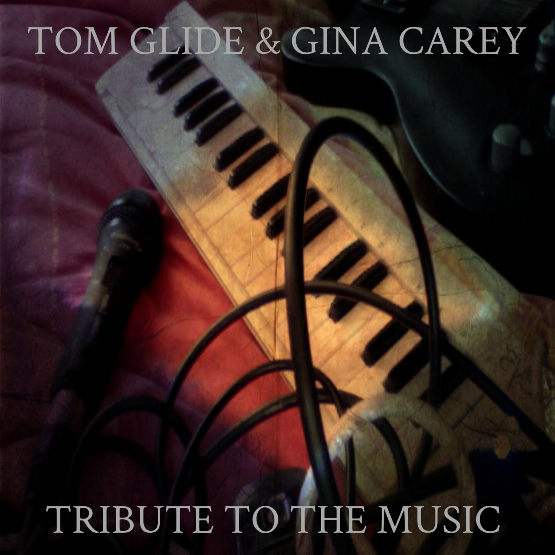 Album cover of Tribute To The Music