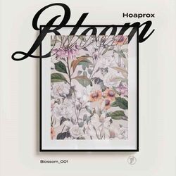 Cover of Bloom