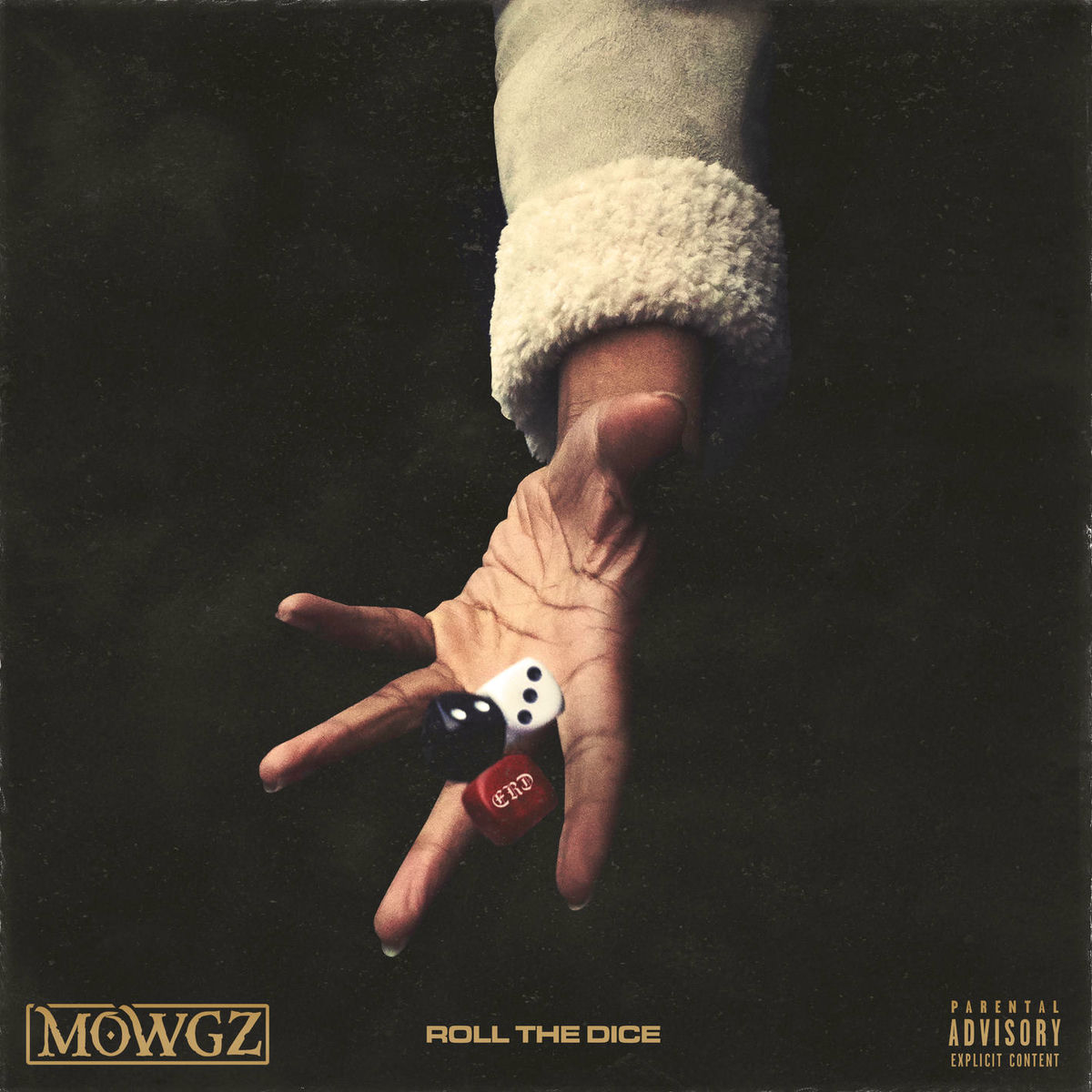 Album cover of Roll the Dice
