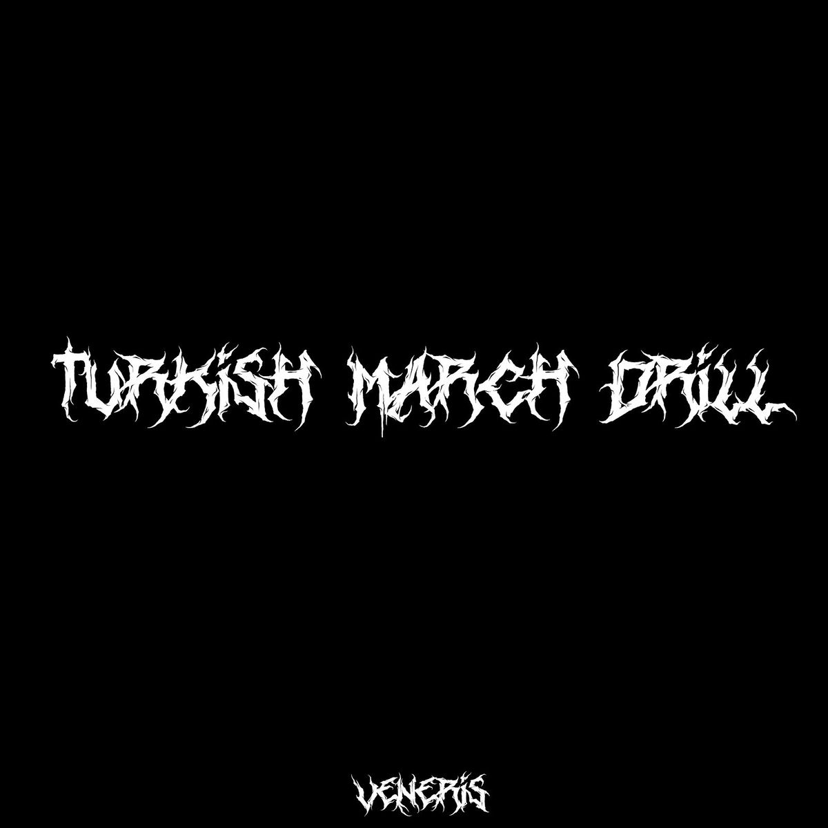 Album cover of Turkish March Drill