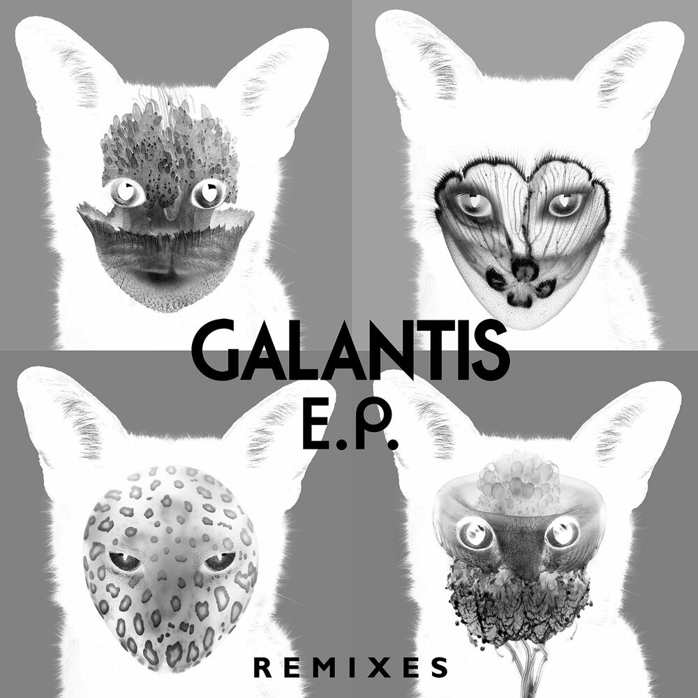 Picture of Galantis Remixes EP