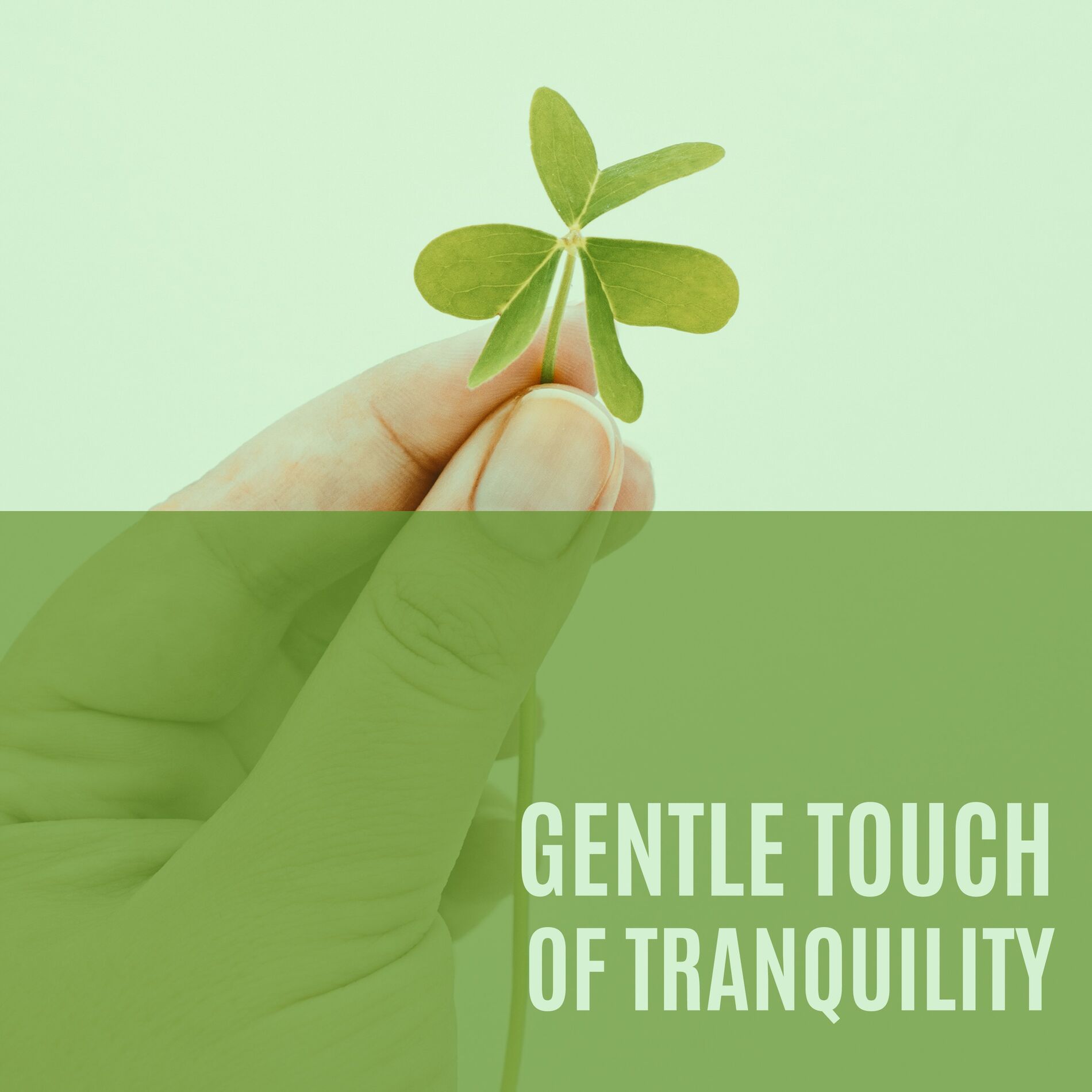 Album cover of Gentle Touch of Tranquility: Relaxing Celtic New Age Melodies, Soothing Mind Session, Relaxation & Stress Relief