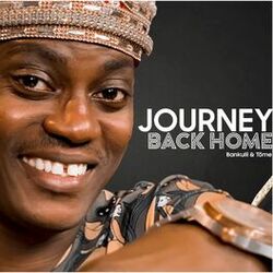 Cover of Journey Back Home
