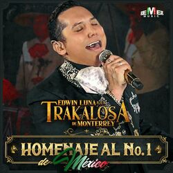 Cover of Homenaje al N° 1 de México