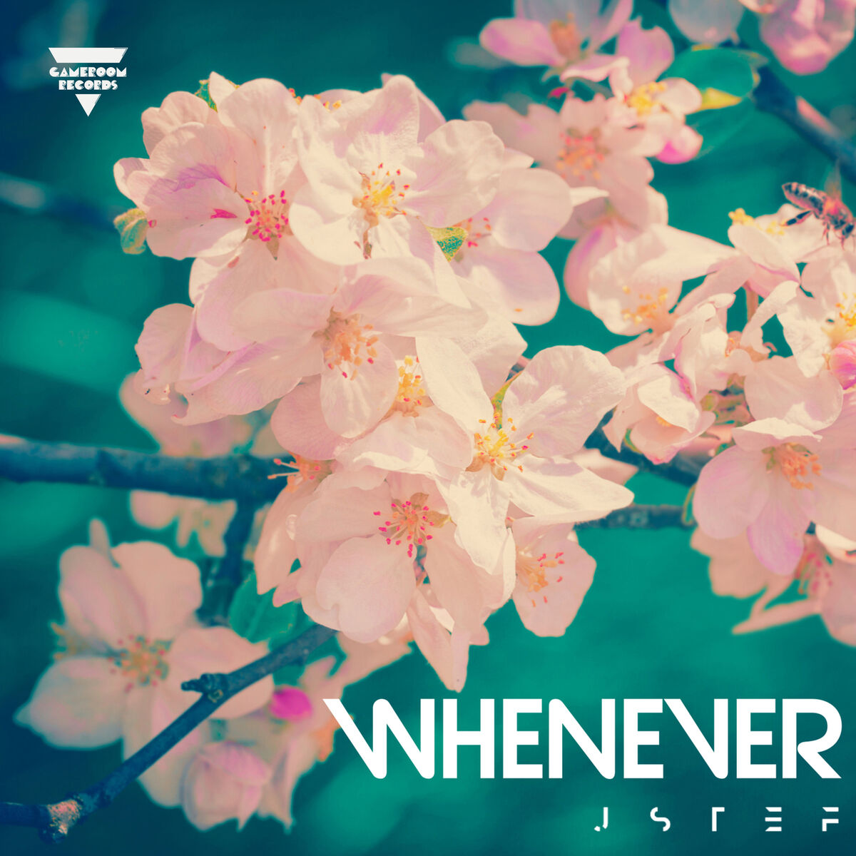 Album cover of Whenever