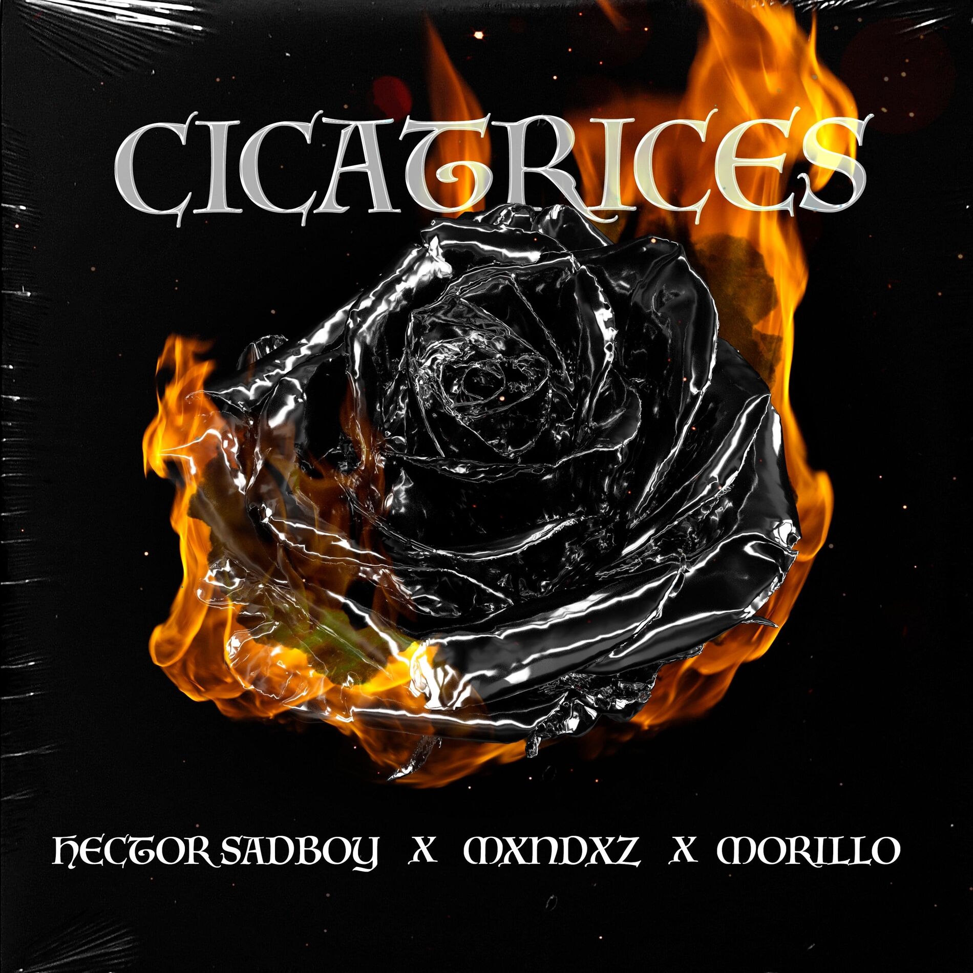 Album cover of Cicatrices
