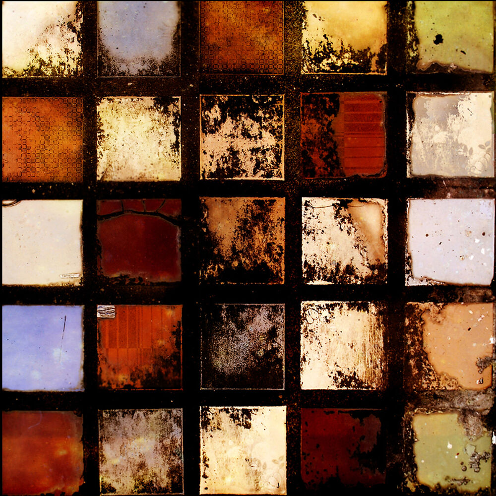 Picture of Autoimmune