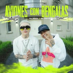 Cover of AVIONES CON BENGALAS