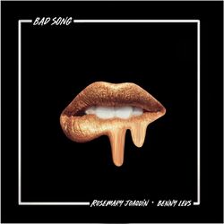 Cover of Bad Song