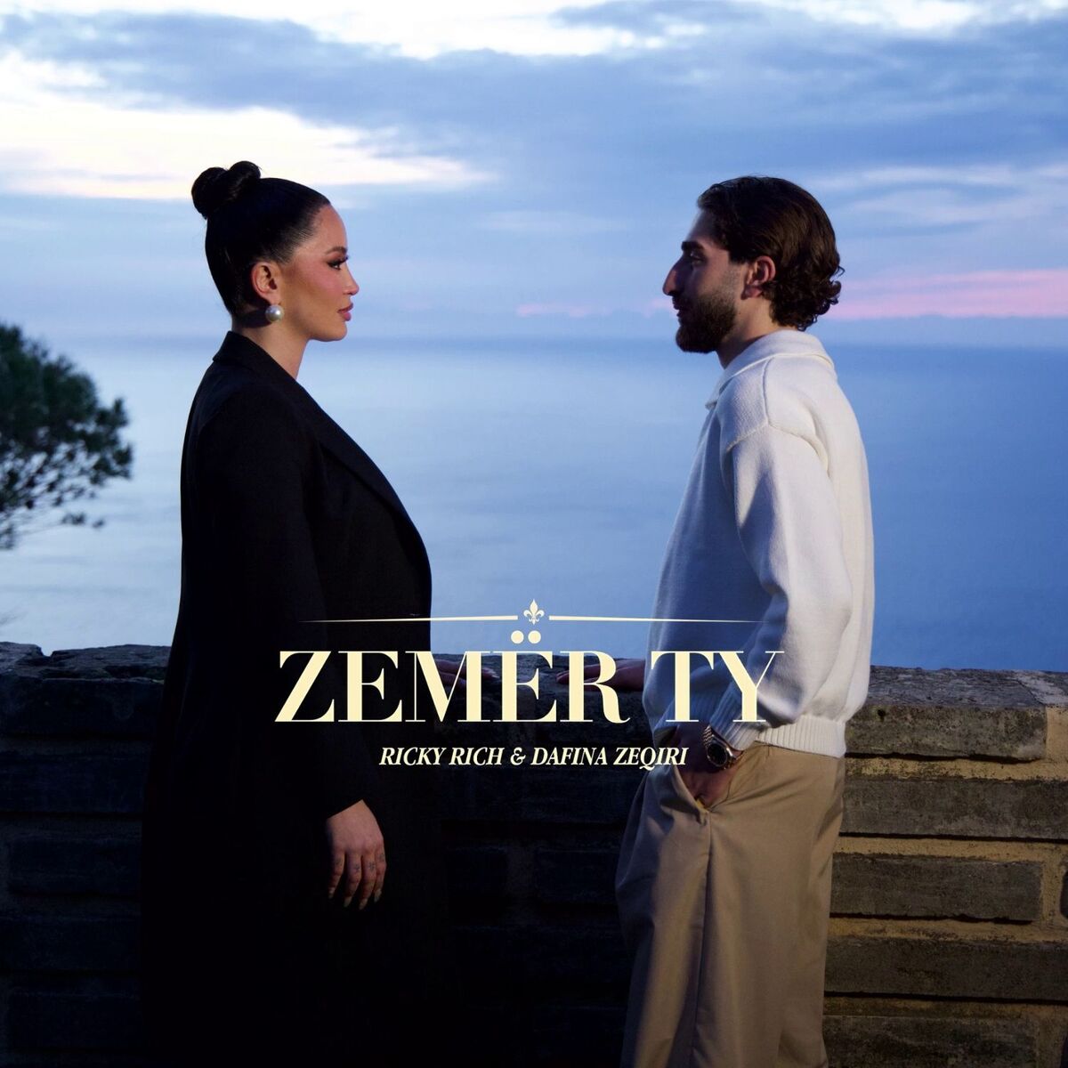 Album cover of Zemër Ty