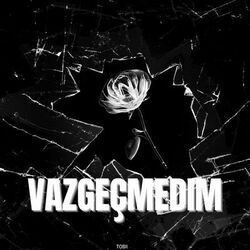 Cover of Vazgeçmedim