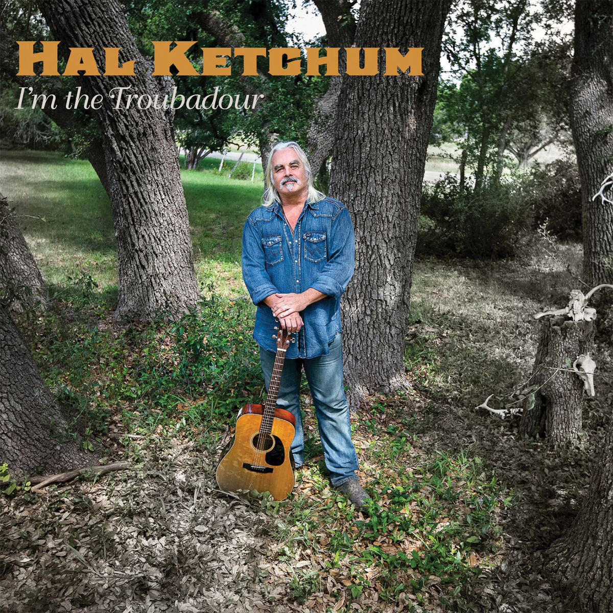 Album cover of I'm the Troubadour