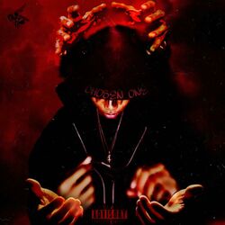 Cover of CHOSEN ONE