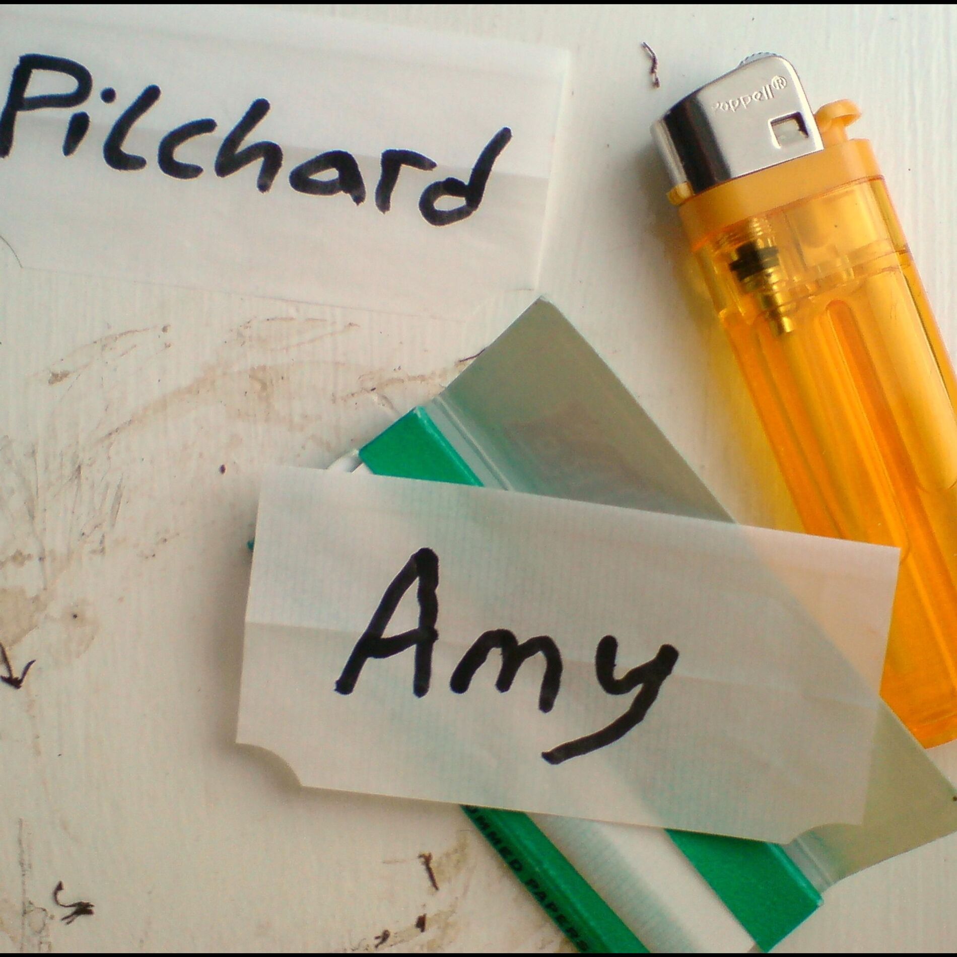 Album picture of Amy