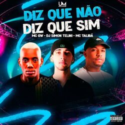 Cover of Diz Que Não, Diz Que Sim