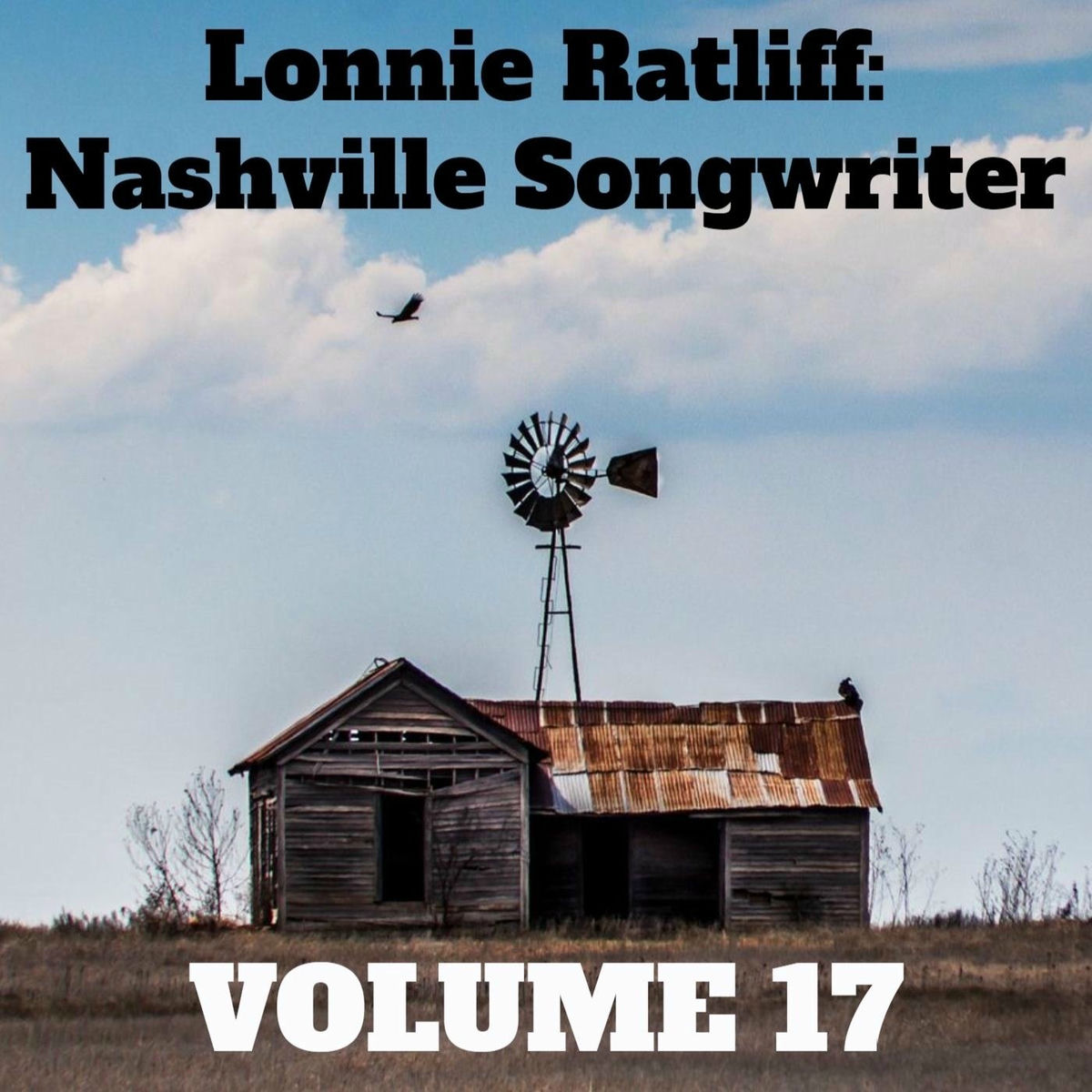 Album cover of Lonnie Ratliff: Nashville Songwriter, Vol. 17