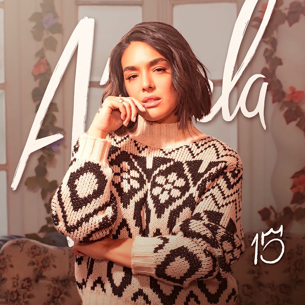 Album cover of 15 Años