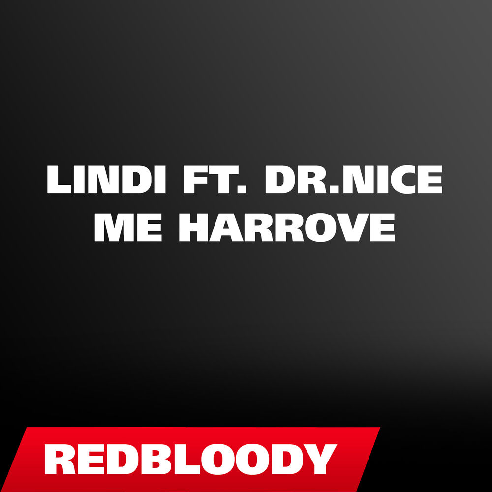 Picture of Lindi ft. Dr.Nice - Me harrove