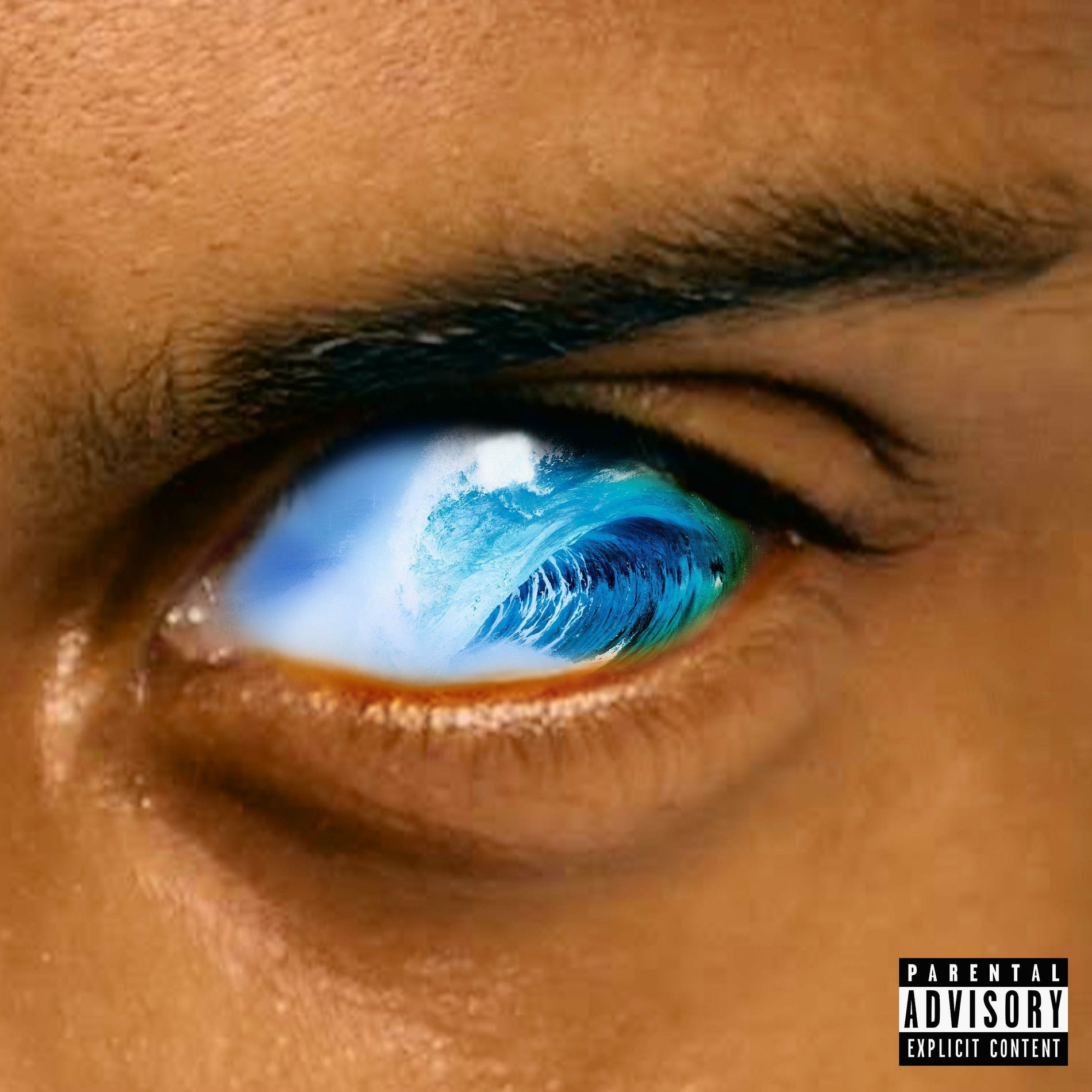 Album cover of The Wave