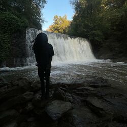Cover of VIBRATIONS