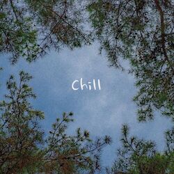 Cover of Chill