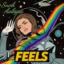 Cover of Feels