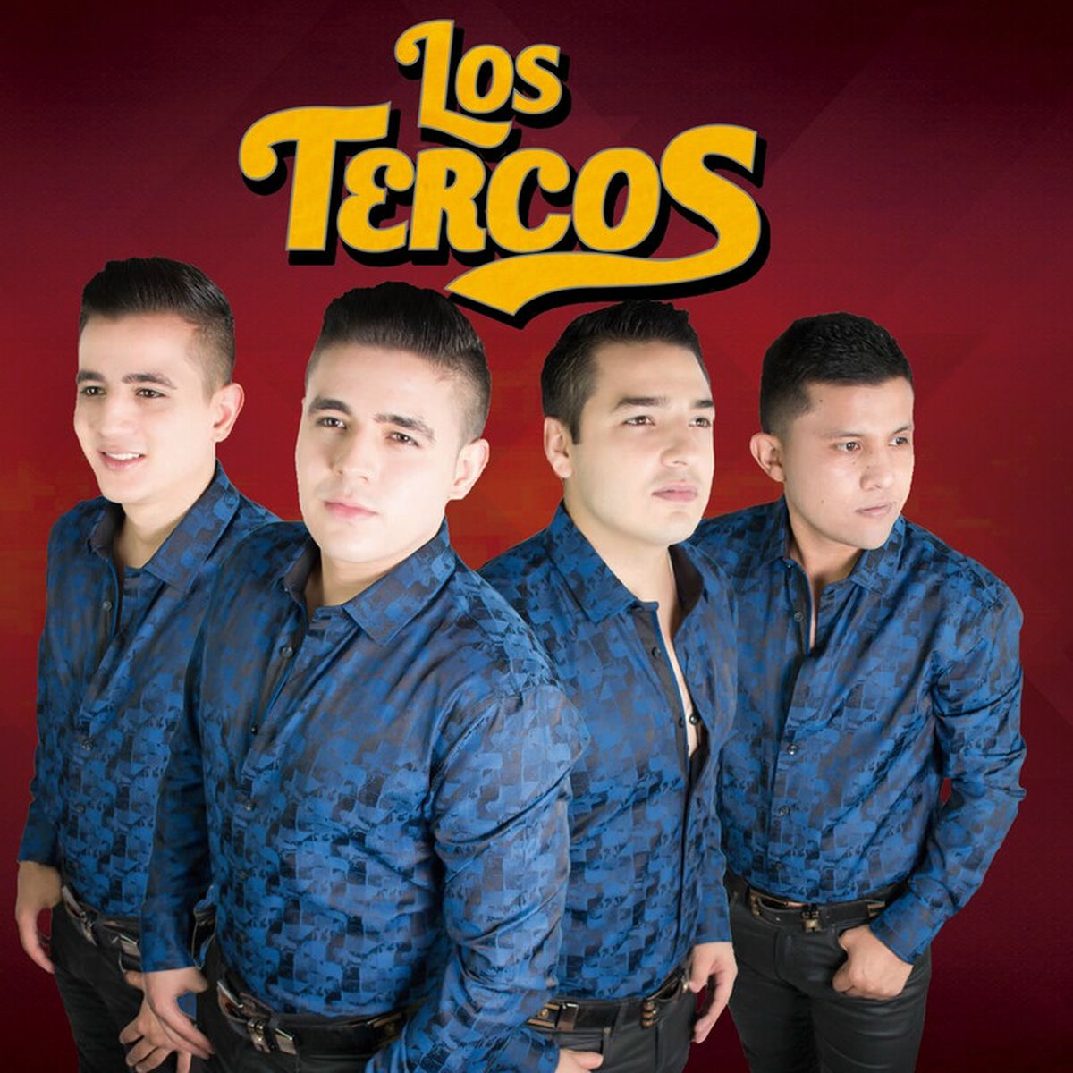 Album cover of Los Tercos