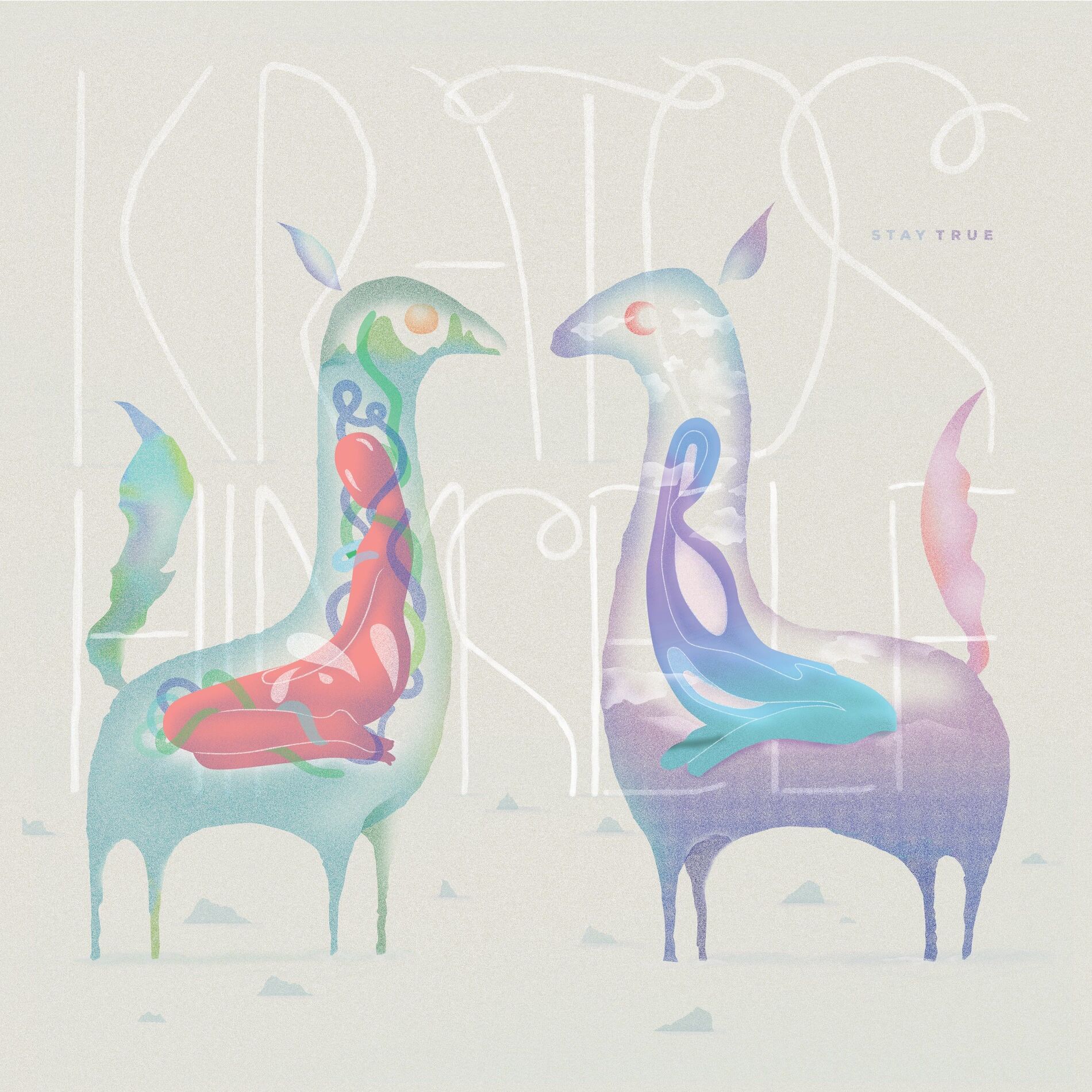 Album cover of Stay True