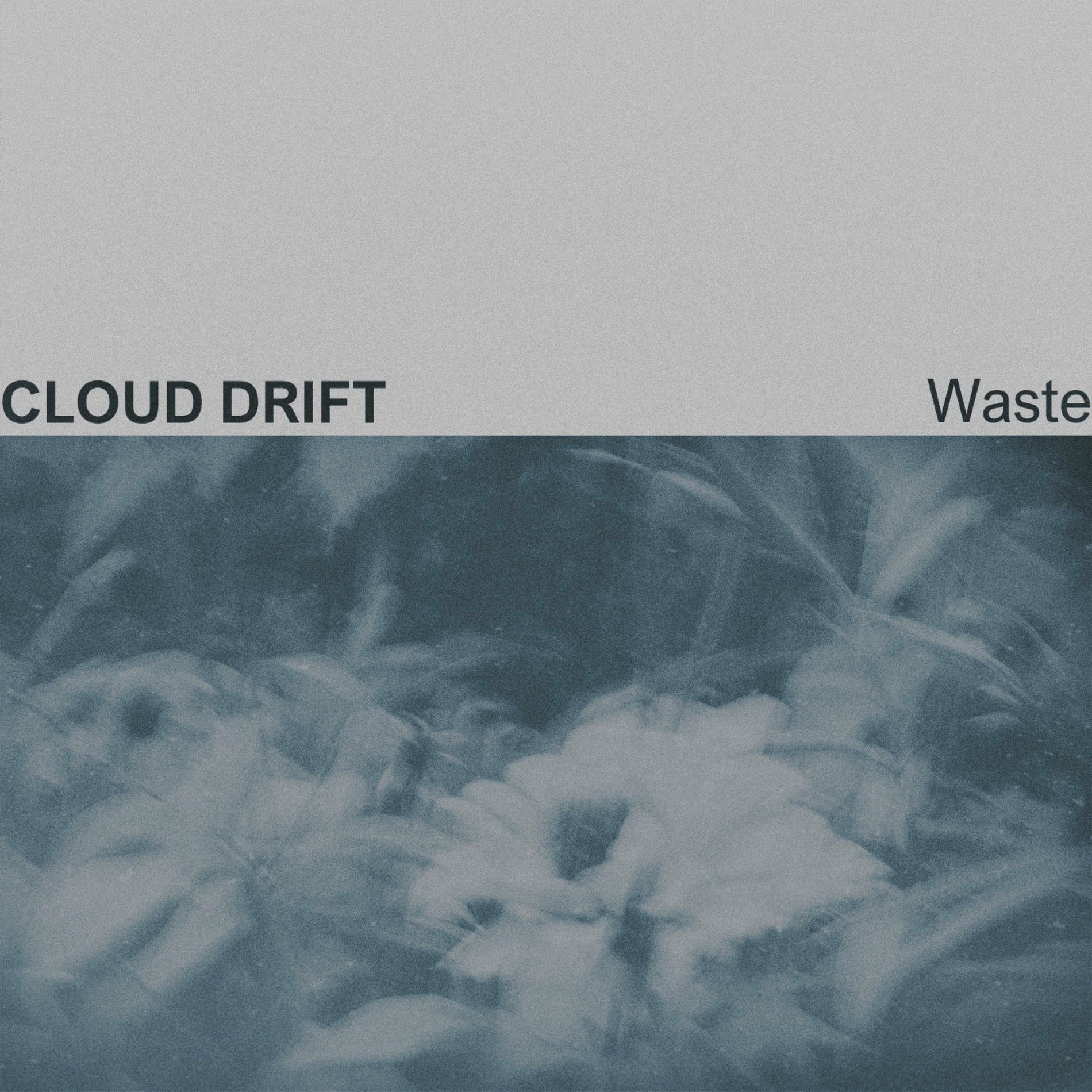 Album cover of Waste