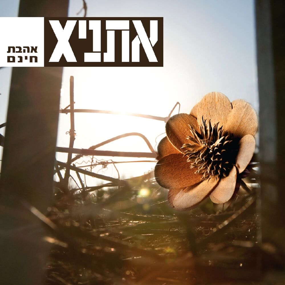 Picture of אהבת חינם