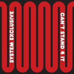 Cover of Can't Stand 4 It