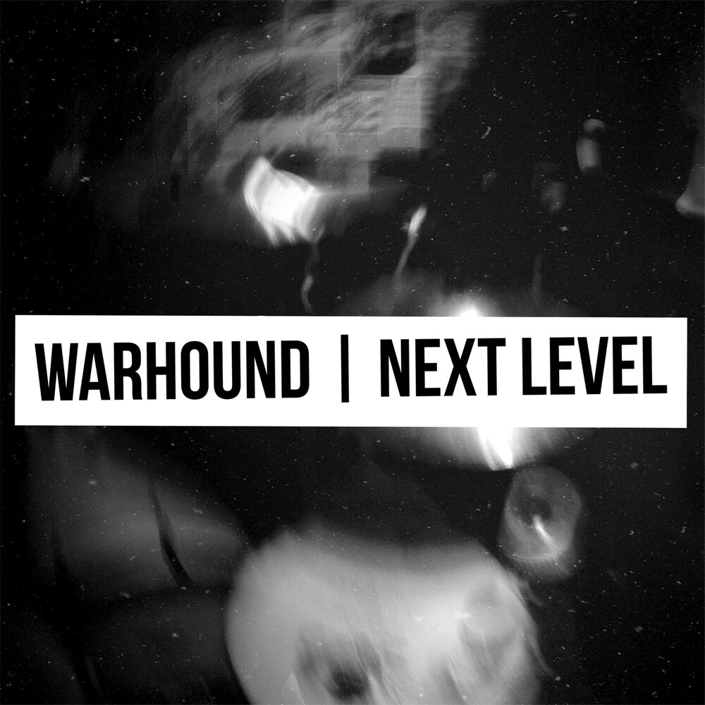 Picture of Next Level