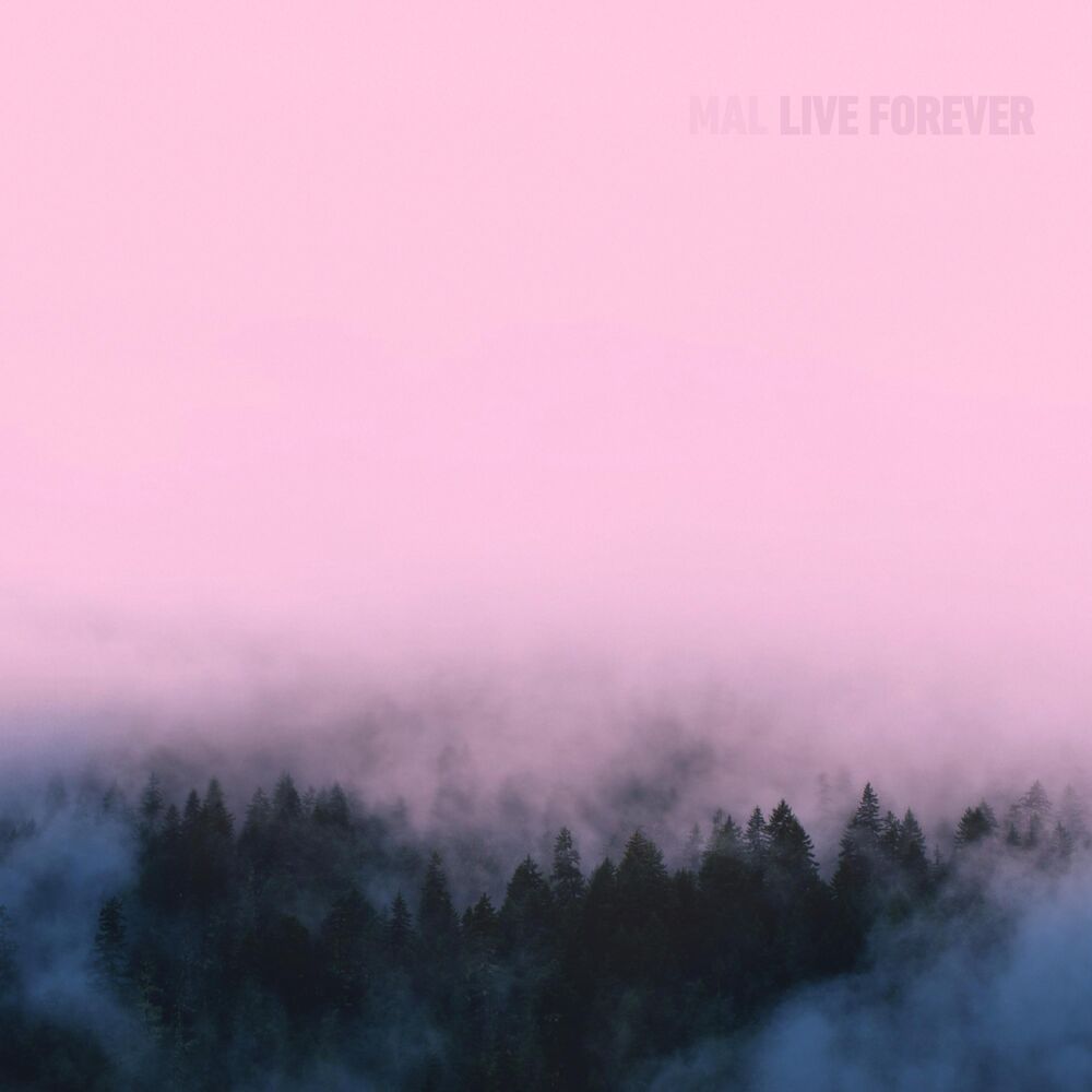 Picture of Live Forever