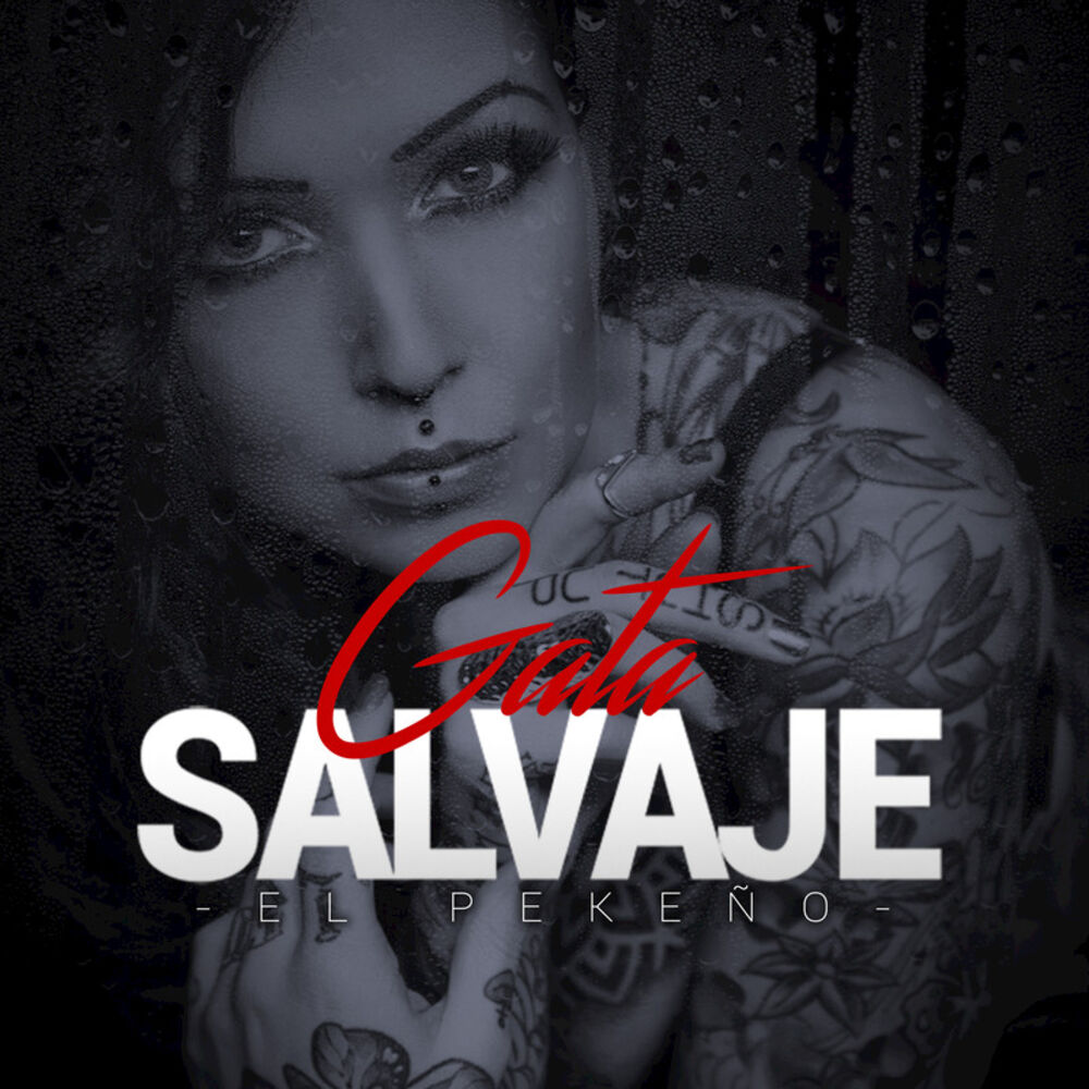 Picture of Gata Salvaje