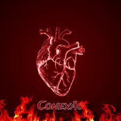 Cover of Conexão
