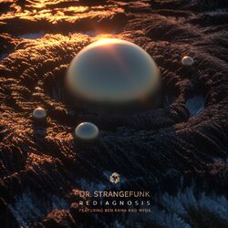 Cover of Rediagnosis