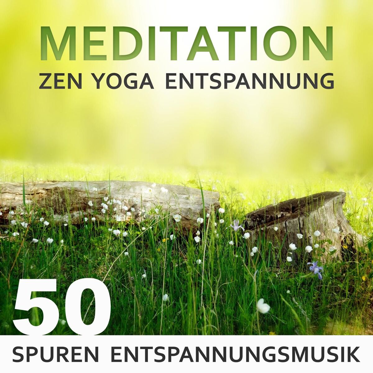 Album cover of Meditation Zen Yoga Entspannung: 50 Spuren Entspannungsmusik zum Autogenes Training, Chakra Balancing & Inneren Frieden, Beruhigen