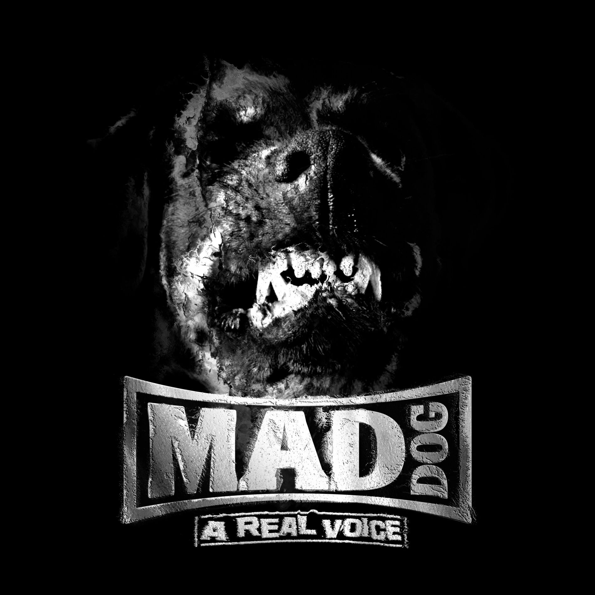 Album cover of A real voice