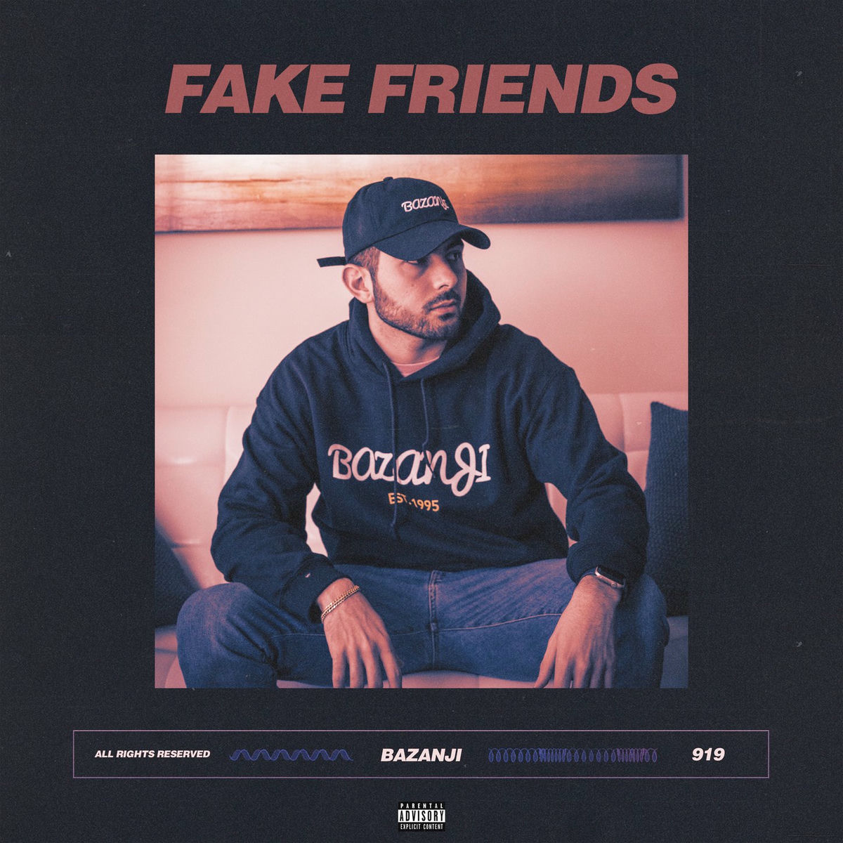 Album cover of Fake Friends